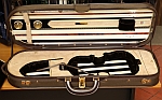 5011E Enigma Aureum suede violin case